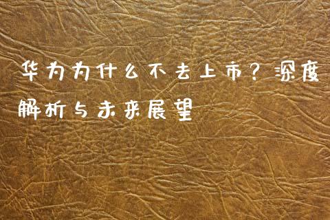 华为为什么不去上市？深度解析与未来展望_https://www.kuaijiepai.net_新股新闻_第1张