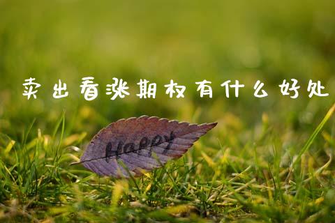卖出看涨期权有什么好处_https://www.kuaijiepai.net_投资理财_第1张