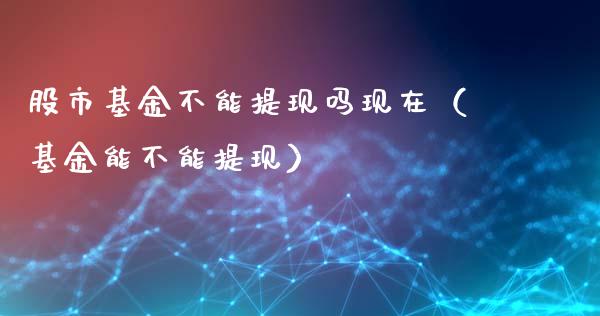 股市基金不能提现吗现在（基金能不能提现）_https://www.kuaijiepai.net_期货理财_第1张