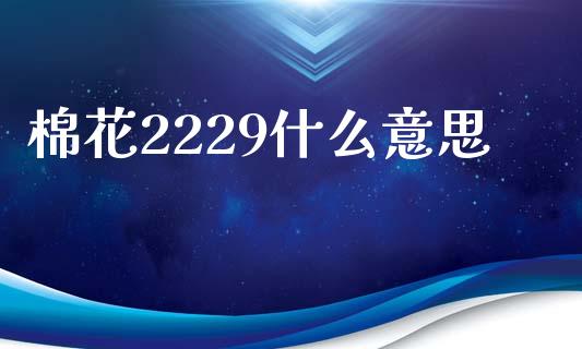 棉花2229什么意思_https://www.kuaijiepai.net_期货资讯_第1张