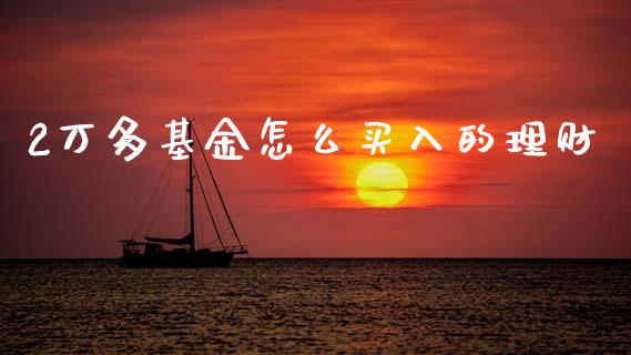 2万多基金怎么买入的理财_https://www.kuaijiepai.net_期货理财_第1张