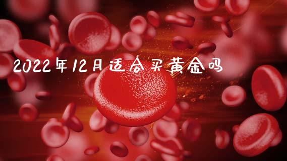 2022年12月适合买黄金吗_https://www.kuaijiepai.net_国际期货_第1张
