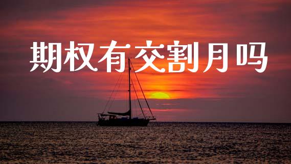 期权有交割月吗_https://www.kuaijiepai.net_国际期货_第1张