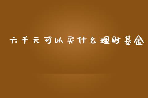六千元可以买什么理财基金_https://www.kuaijiepai.net_期货理财_第1张