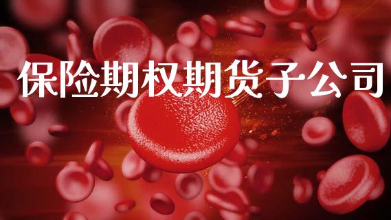 保险期权期货子公司_https://www.kuaijiepai.net_投资理财_第1张
