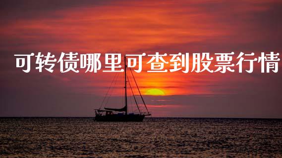 可转债哪里可查到股票行情_https://www.kuaijiepai.net_国际股建_第1张