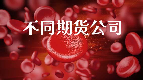 不同期货公司_https://www.kuaijiepai.net_投资理财_第1张