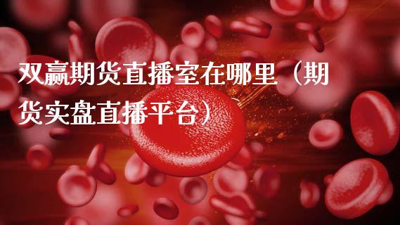 双赢期货直播室在哪里（期货实盘直播平台）_https://www.kuaijiepai.net_期货在线_第1张