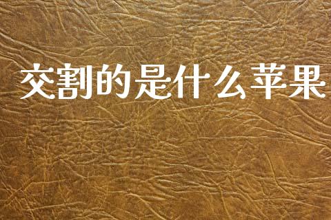 交割的是什么苹果_https://www.kuaijiepai.net_期货在线_第1张