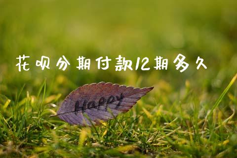 花呗分期付款12期多久_https://www.kuaijiepai.net_投资理财_第1张