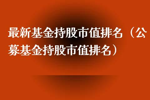 最新基金持股市值排名（公募基金持股市值排名）_https://www.kuaijiepai.net_投资理财_第1张
