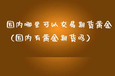 国内哪里可以交易期货黄金（国内有黄金期货吗）_https://www.kuaijiepai.net_国际期货_第1张