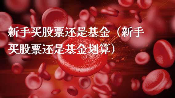 新手买股票还是基金（新手买股票还是基金划算）_https://www.kuaijiepai.net_新股新闻_第1张