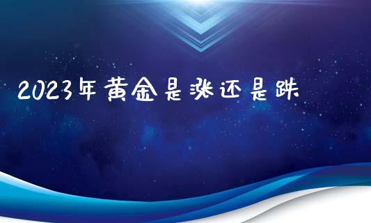 2023年黄金是涨还是跌_https://www.kuaijiepai.net_期货在线_第1张