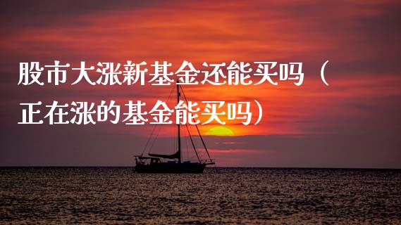 股市大涨新基金还能买吗（正在涨的基金能买吗）_https://www.kuaijiepai.net_期货理财_第1张
