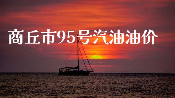 商丘市95号汽油油价_https://www.kuaijiepai.net_期货在线_第1张