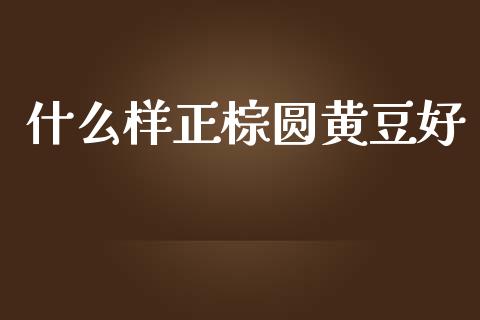 什么样正棕圆黄豆好_https://www.kuaijiepai.net_期货理财_第1张