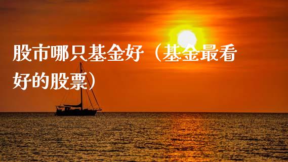 股市哪只基金好（基金最看好的股票）_https://www.kuaijiepai.net_投资理财_第1张