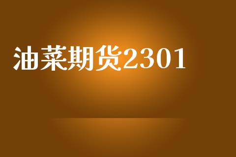油菜期货2301_https://www.kuaijiepai.net_期货资讯_第1张