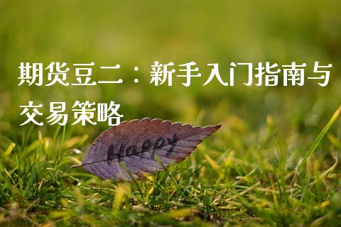 期货豆二：新手入门指南与交易策略_https://www.kuaijiepai.net_期货资讯_第1张