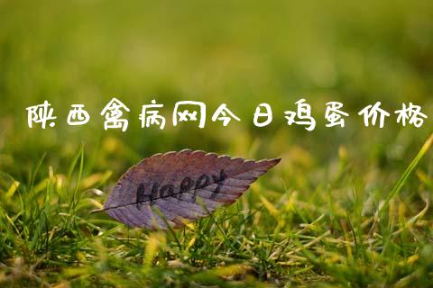 陕西禽病网今日鸡蛋价格_https://www.kuaijiepai.net_期货资讯_第1张