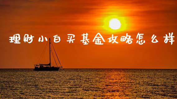 理财小白买基金攻略怎么样_https://www.kuaijiepai.net_期货理财_第1张