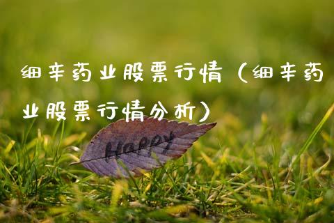 细辛药业股票行情（细辛药业股票行情分析）_https://www.kuaijiepai.net_股票理论_第1张