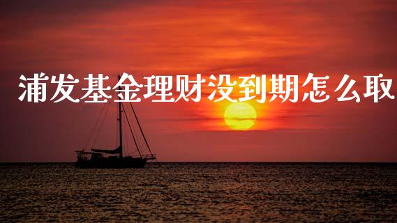 浦发基金理财没到期怎么取_https://www.kuaijiepai.net_投资理财_第1张