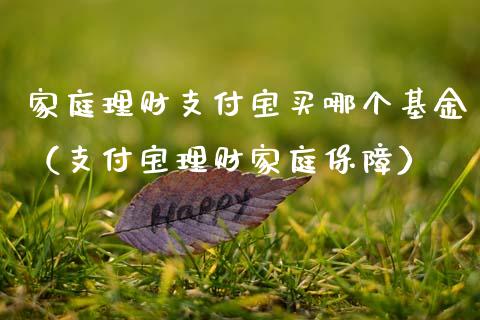 家庭理财支付宝买哪个基金（支付宝理财家庭保障）_https://www.kuaijiepai.net_投资理财_第1张