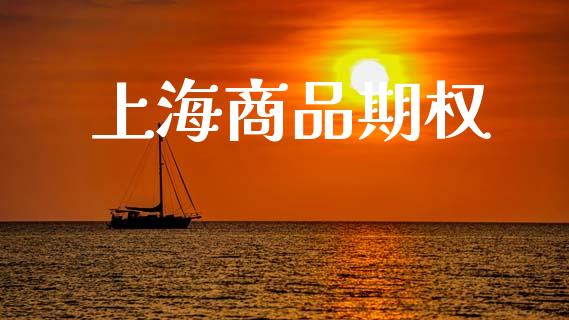 上海商品期权_https://www.kuaijiepai.net_期货在线_第1张