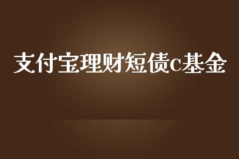 支付宝理财短债c基金_https://www.kuaijiepai.net_期货理财_第1张