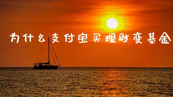 为什么支付宝买理财变基金_https://www.kuaijiepai.net_投资理财_第1张