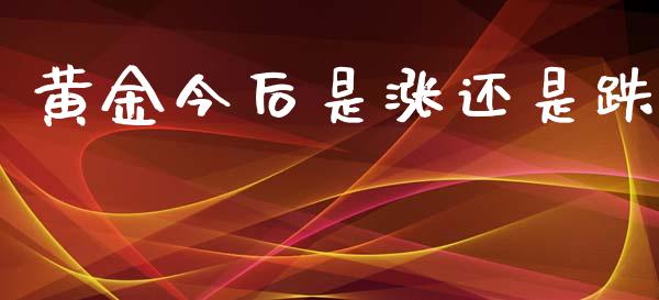黄金今后是涨还是跌_https://www.kuaijiepai.net_国际期货_第1张