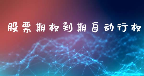 股票期权到期自动行权_https://www.kuaijiepai.net_投资理财_第1张