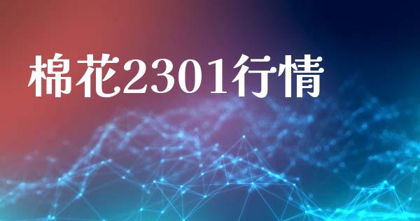 棉花2301行情_https://www.kuaijiepai.net_期货资讯_第1张