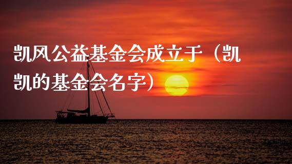 凯风公益基金会成立于（凯凯的基金会名字）_https://www.kuaijiepai.net_投资理财_第1张