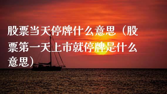 股票当天停牌什么意思（股票第一天上市就停牌是什么意思）_https://www.kuaijiepai.net_新股新闻_第1张
