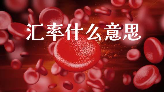 汇率什么意思_https://www.kuaijiepai.net_国际期货_第1张