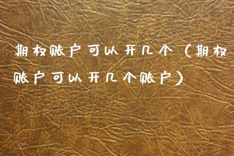 期权账户可以开几个（期权账户可以开几个账户）_https://www.kuaijiepai.net_国际期货_第1张
