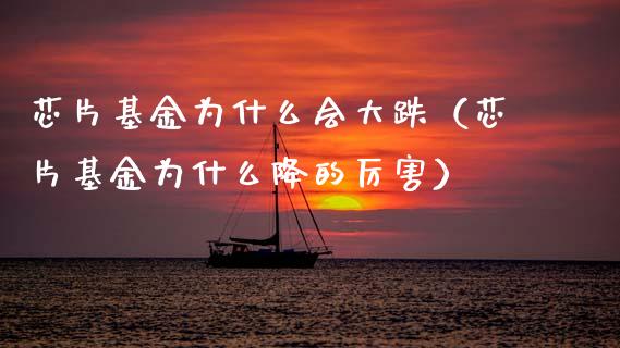 芯片基金为什么会大跌（芯片基金为什么降的厉害）_https://www.kuaijiepai.net_投资理财_第1张
