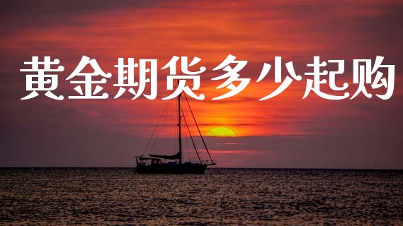 黄金期货多少起购_https://www.kuaijiepai.net_期货资讯_第1张