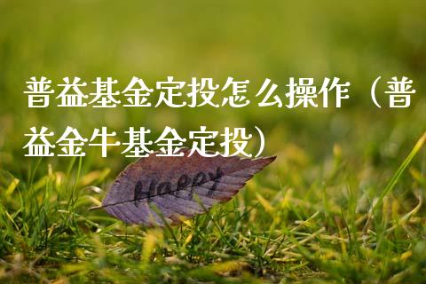 普益基金定投怎么操作（普益金牛基金定投）_https://www.kuaijiepai.net_投资理财_第1张