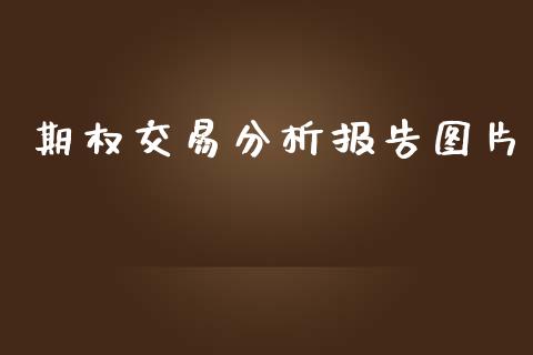 期权交易分析报告图片_https://www.kuaijiepai.net_期货资讯_第1张