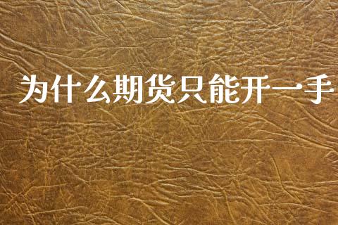 为什么期货只能开一手_https://www.kuaijiepai.net_期货在线_第1张