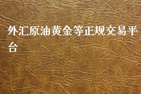 外汇原油黄金等正规交易平台_https://www.kuaijiepai.net_期货在线_第1张