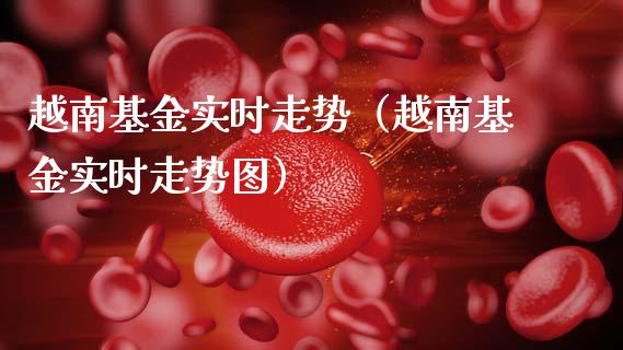越南基金实时走势（越南基金实时走势图）_https://www.kuaijiepai.net_投资理财_第1张