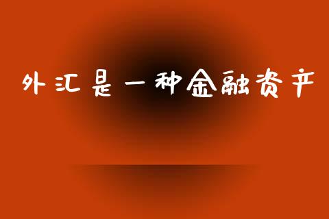 外汇是一种金融资产_https://www.kuaijiepai.net_国际期货_第1张