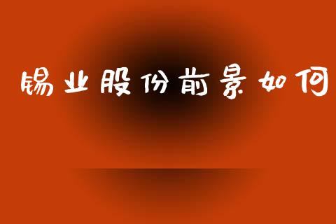 锡业股份前景如何_https://www.kuaijiepai.net_新股新闻_第1张