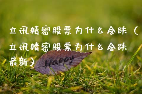 立讯精密股票为什么会跌（立讯精密股票为什么会跌 最新）_https://www.kuaijiepai.net_新股新闻_第1张