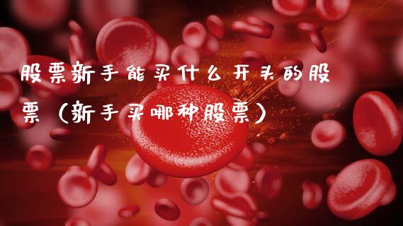 股票新手能买什么开头的股票（新手买哪种股票）_https://www.kuaijiepai.net_新股新闻_第1张